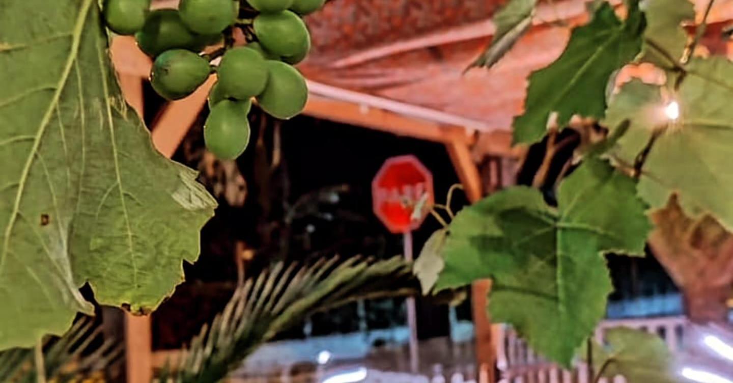Hostel Vento Leste Bombinhas Ngoại thất bức ảnh